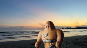 Apartman Golem